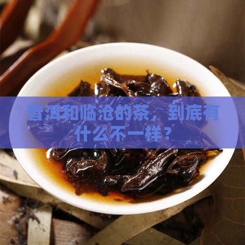 普洱和临沧茶的区别