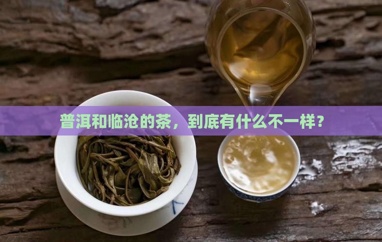 普洱和临沧茶的区别