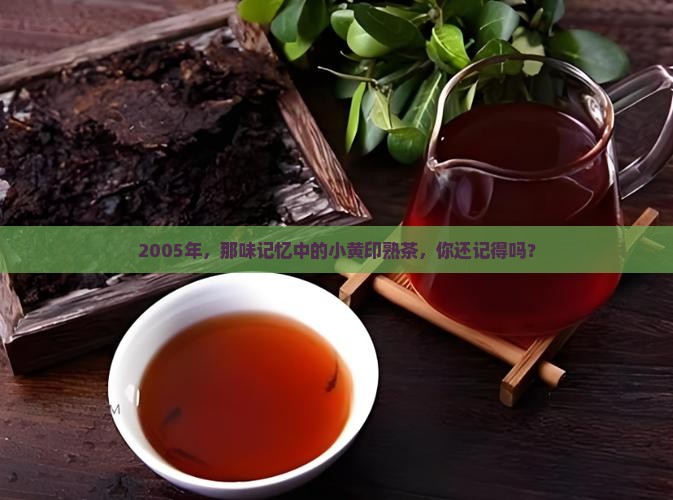 2005年中茶小黄印熟茶