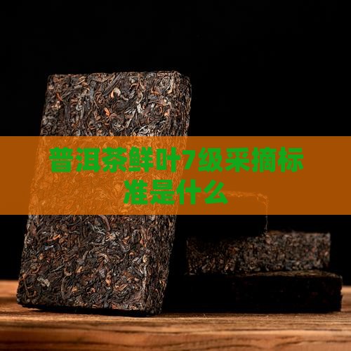 普洱茶鲜叶7级采摘标准