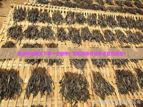 普洱茶能用天下第一仓吗