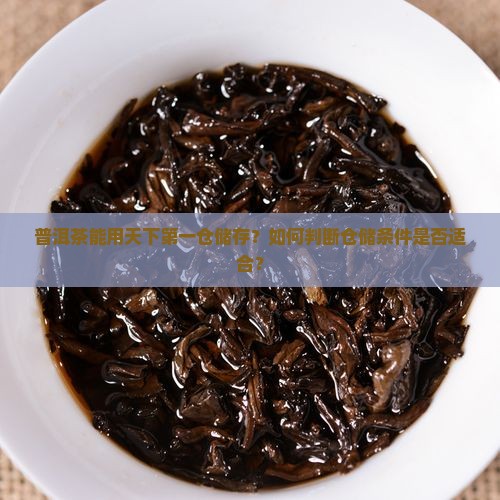 普洱茶能用天下第一仓吗