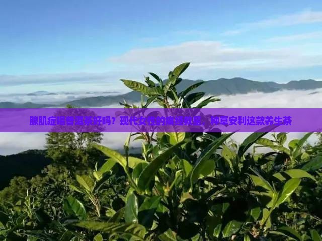 腺肌症喝普洱茶好吗