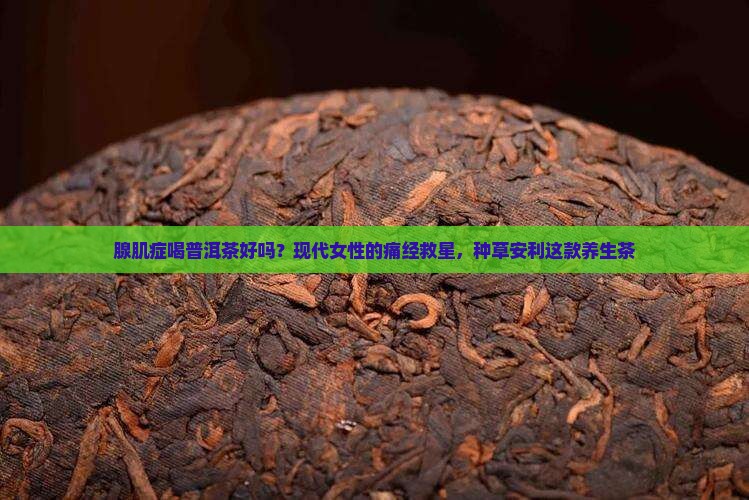 腺肌症喝普洱茶好吗