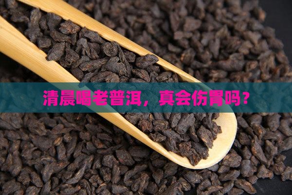 早上喝老普洱茶刮胃么