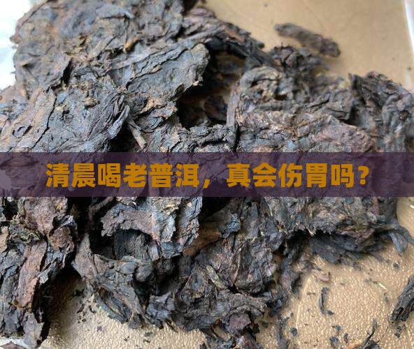 早上喝老普洱茶刮胃么