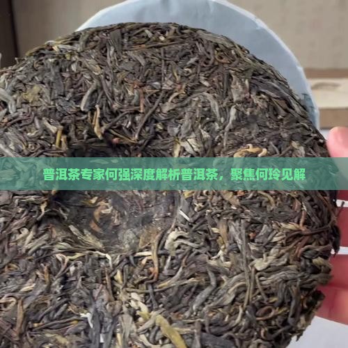 喝普洱茶关注何玲