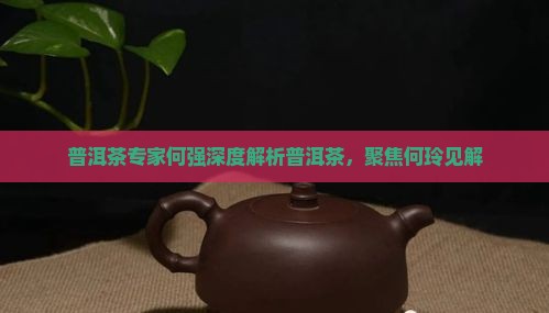 喝普洱茶关注何玲