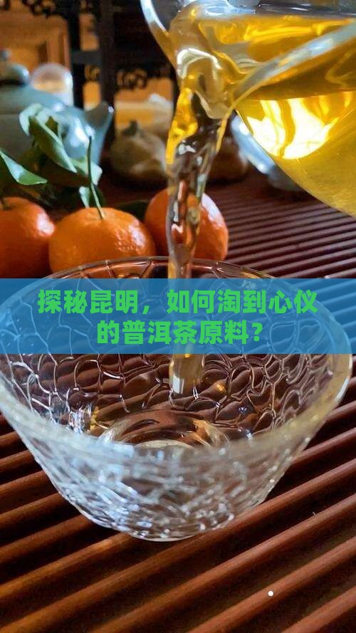 昆明购买购普洱茶毛料