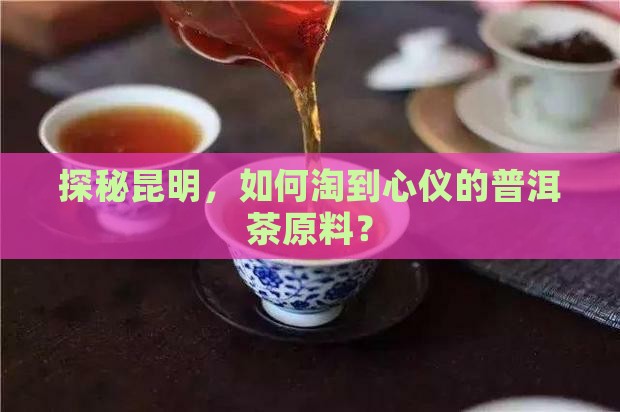 昆明购买购普洱茶毛料