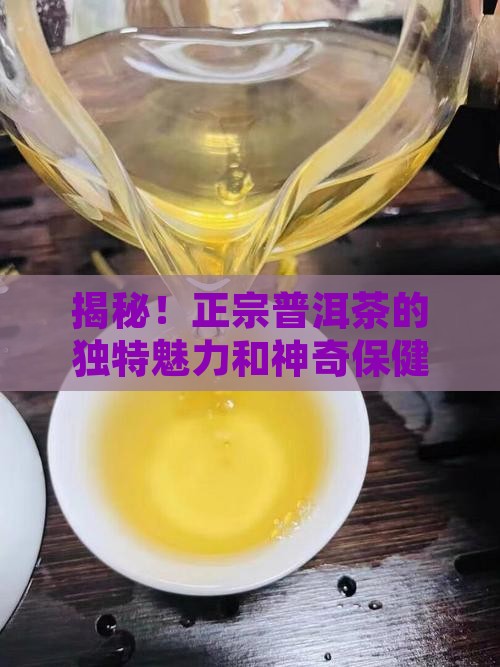 探寻正宗普洱茶的特点和功效