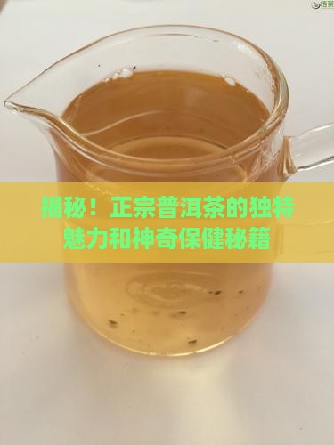 探寻正宗普洱茶的特点和功效
