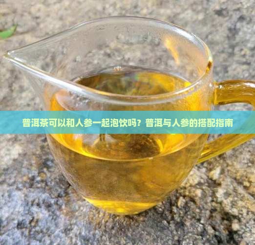 普洱茶和山参能一起喝