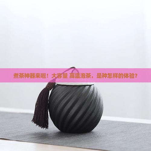 煮茶盛茶容器大泡茶温度高
