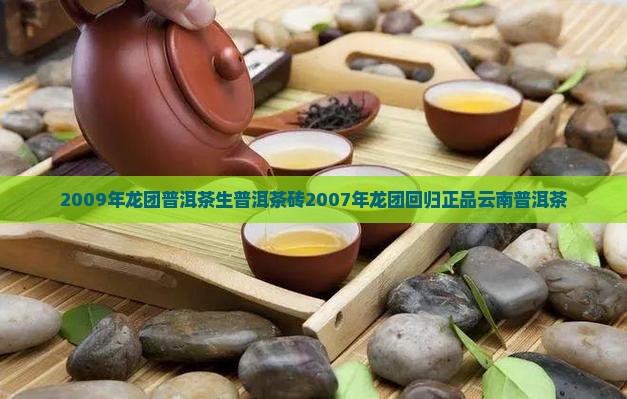 2009年龙团普洱茶生普