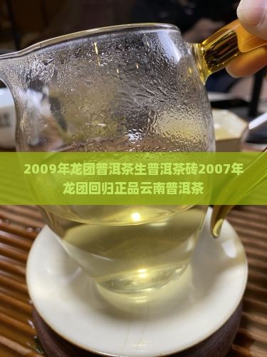 2009年龙团普洱茶生普