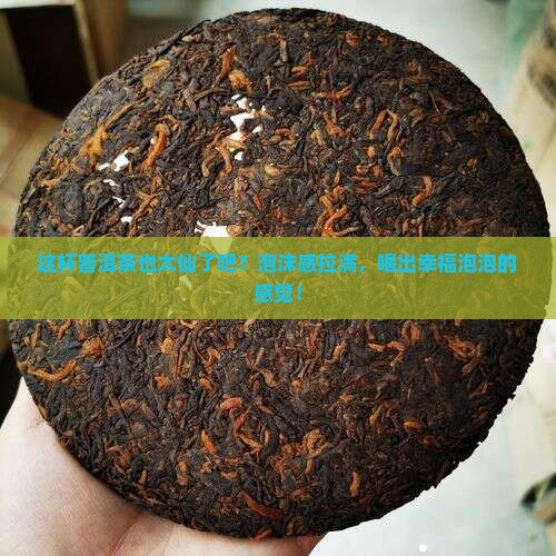 有泡沫质感的普洱茶