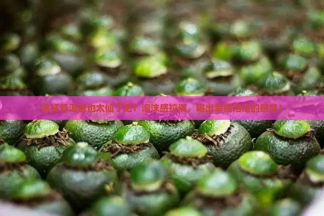有泡沫质感的普洱茶