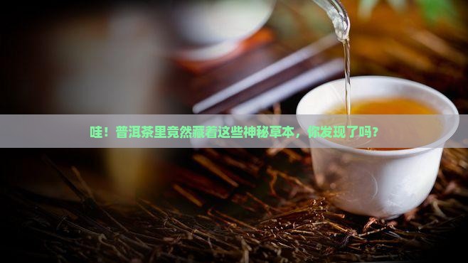 普洱茶中的草本是什么
