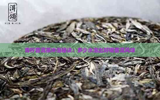青柠普洱茶一次倒多少水