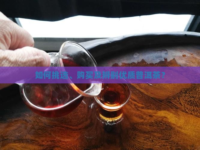 一般普洱茶怎么买