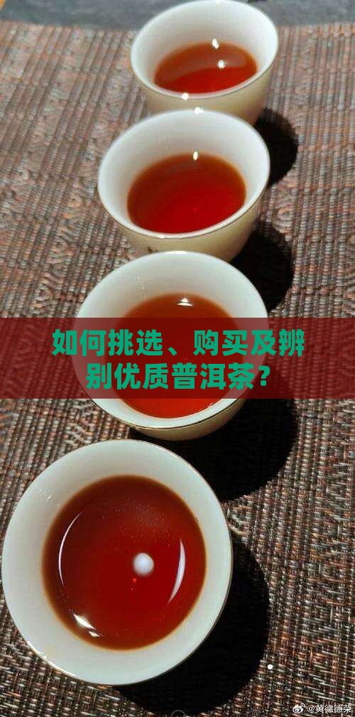 一般普洱茶怎么买