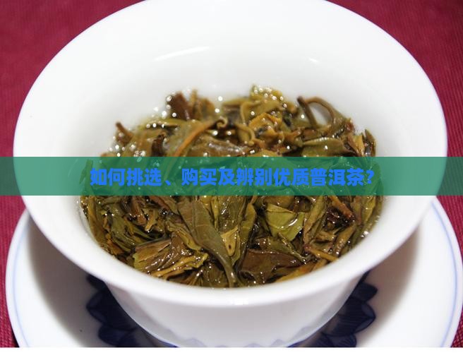 一般普洱茶怎么买