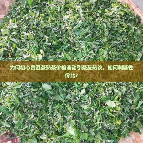 初心普洱茶熟茶的价格