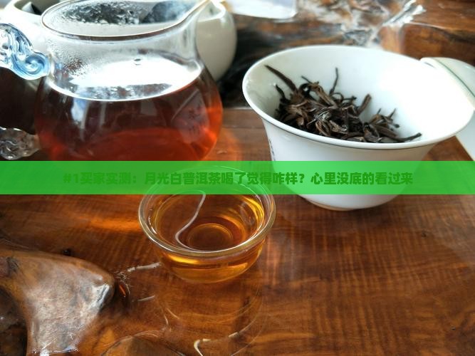 月光白普洱茶好不好