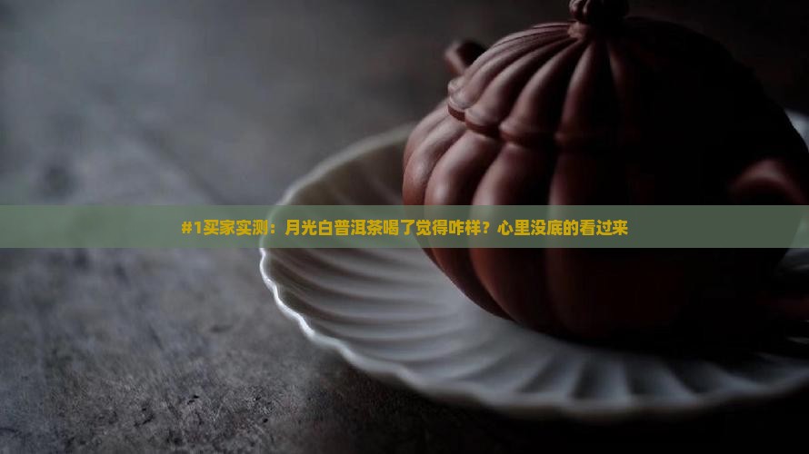 月光白普洱茶好不好