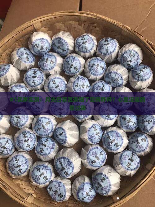 月光白普洱茶好不好