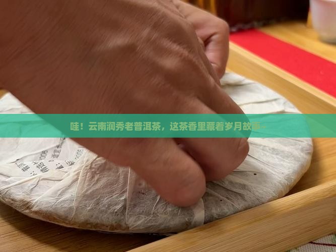 云南润秀老普洱茶