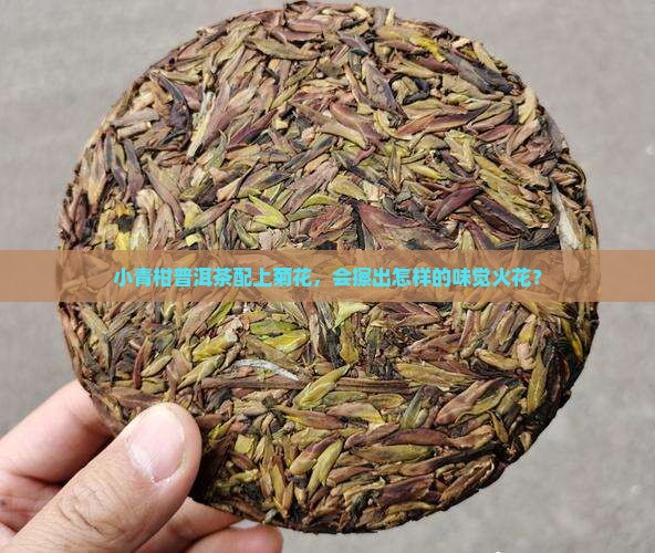 小青柑普洱茶和菊花一起泡