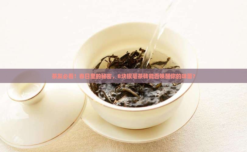 普洱茶春尖银毫茶砖