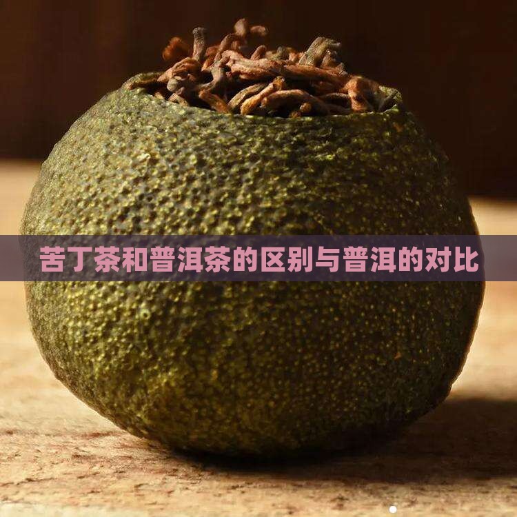 苦丁茶普洱茶有什么区别