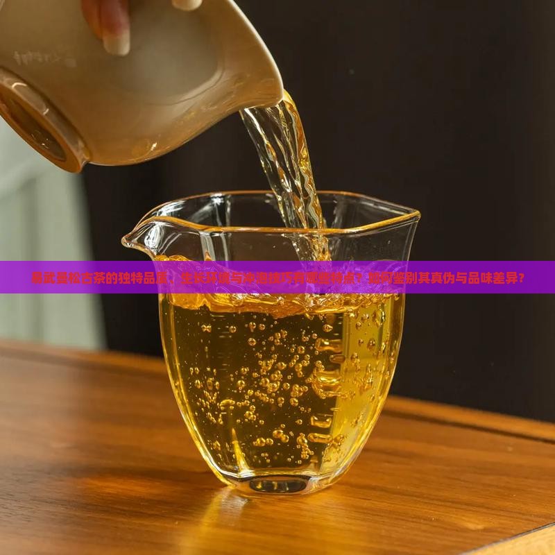 易武曼松古茶特点