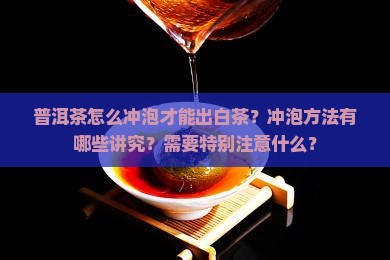 普洱茶怎么冲泡才能出白茶