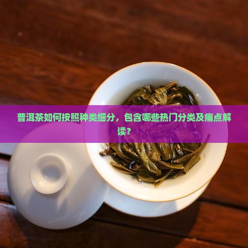 普洱茶可以分为哪几个种类