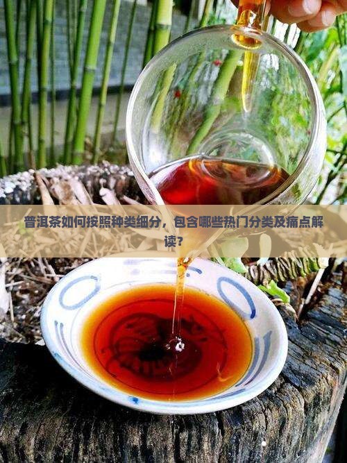 普洱茶可以分为哪几个种类