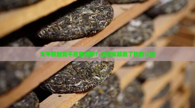 太平猴魁是普洱茶吗