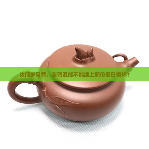 熟普洱茶古韵飘香好喝吗
