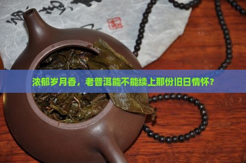 熟普洱茶古韵飘香好喝吗