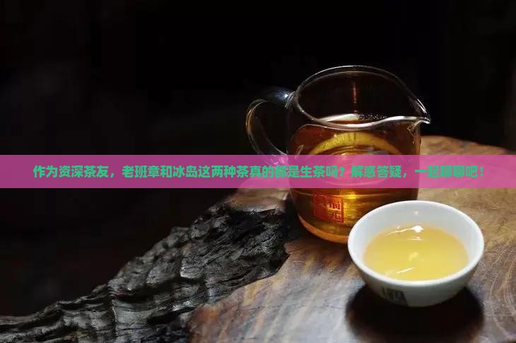 老班章跟冰岛都是生茶吗