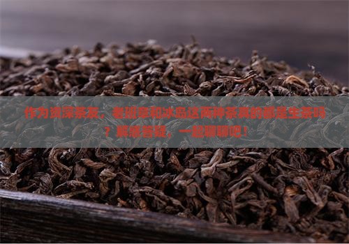 老班章跟冰岛都是生茶吗