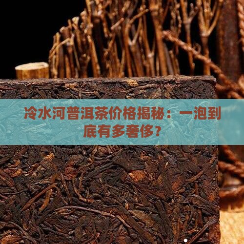 冷水河普洱茶多贵