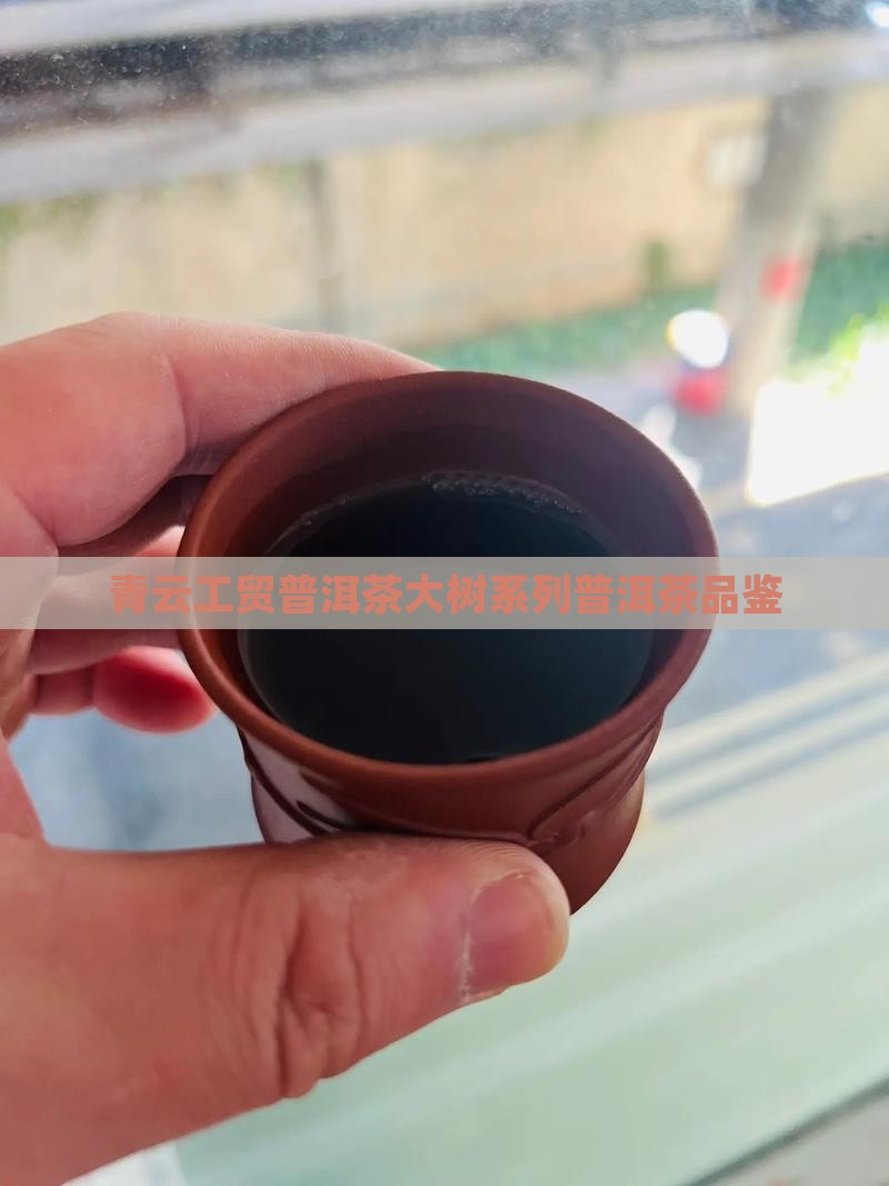 青云工贸普洱茶绿大树