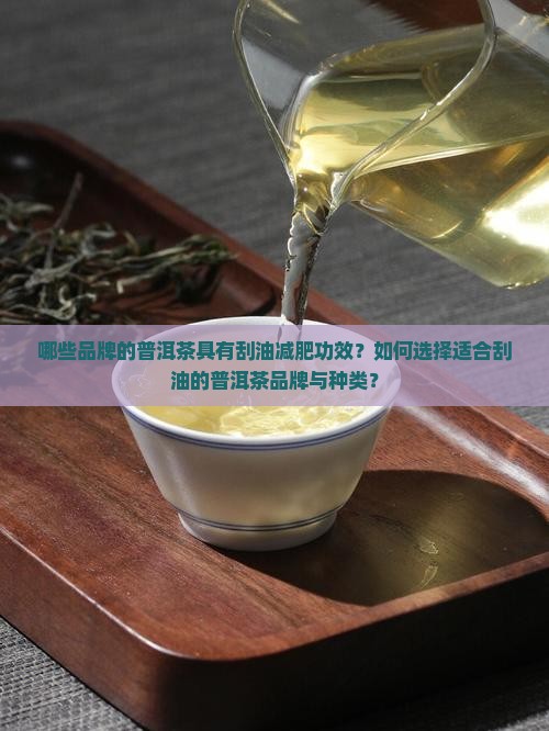 什么牌子的普洱茶刮油