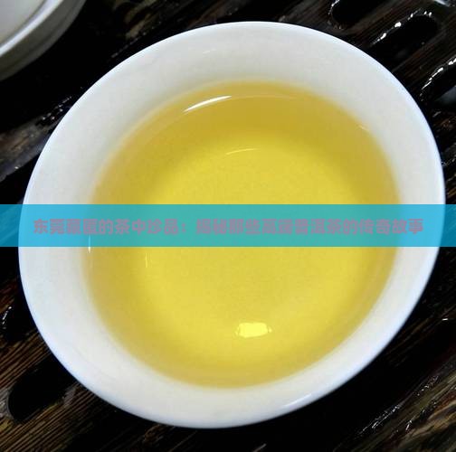 东莞高端普洱茶