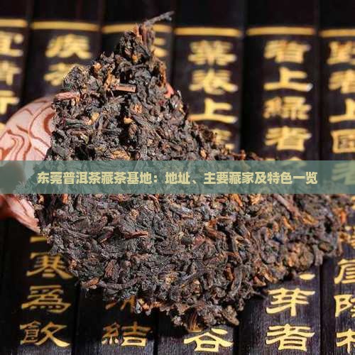 东莞普洱茶藏茶基地