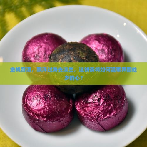 金帆牌普洱茶出口波兰饼